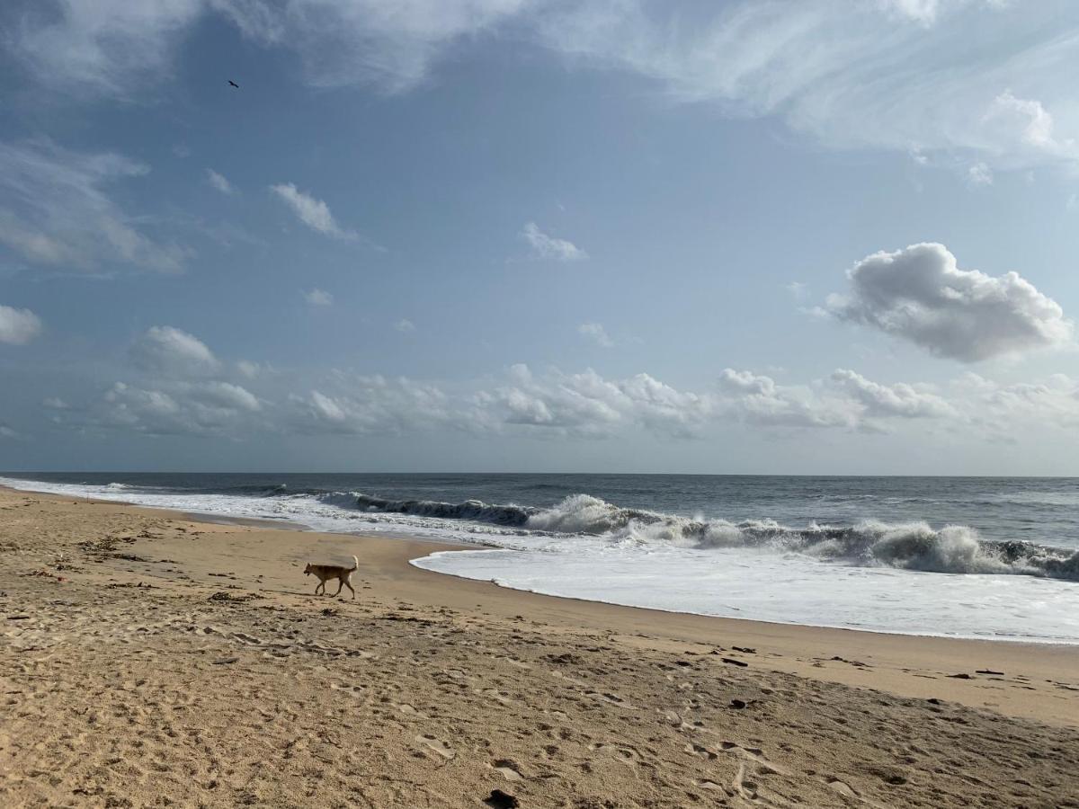 Peacock Villa Marari Beach 마라리쿨람 외부 사진